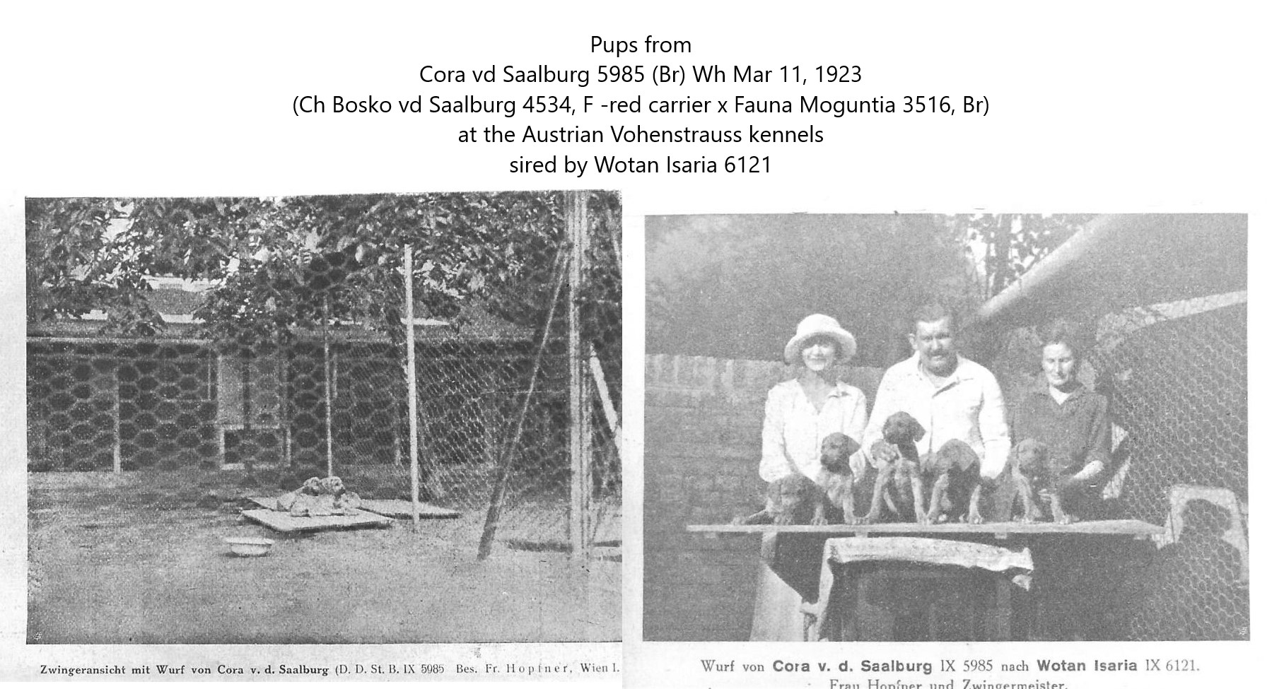 Cora vd Saalburg